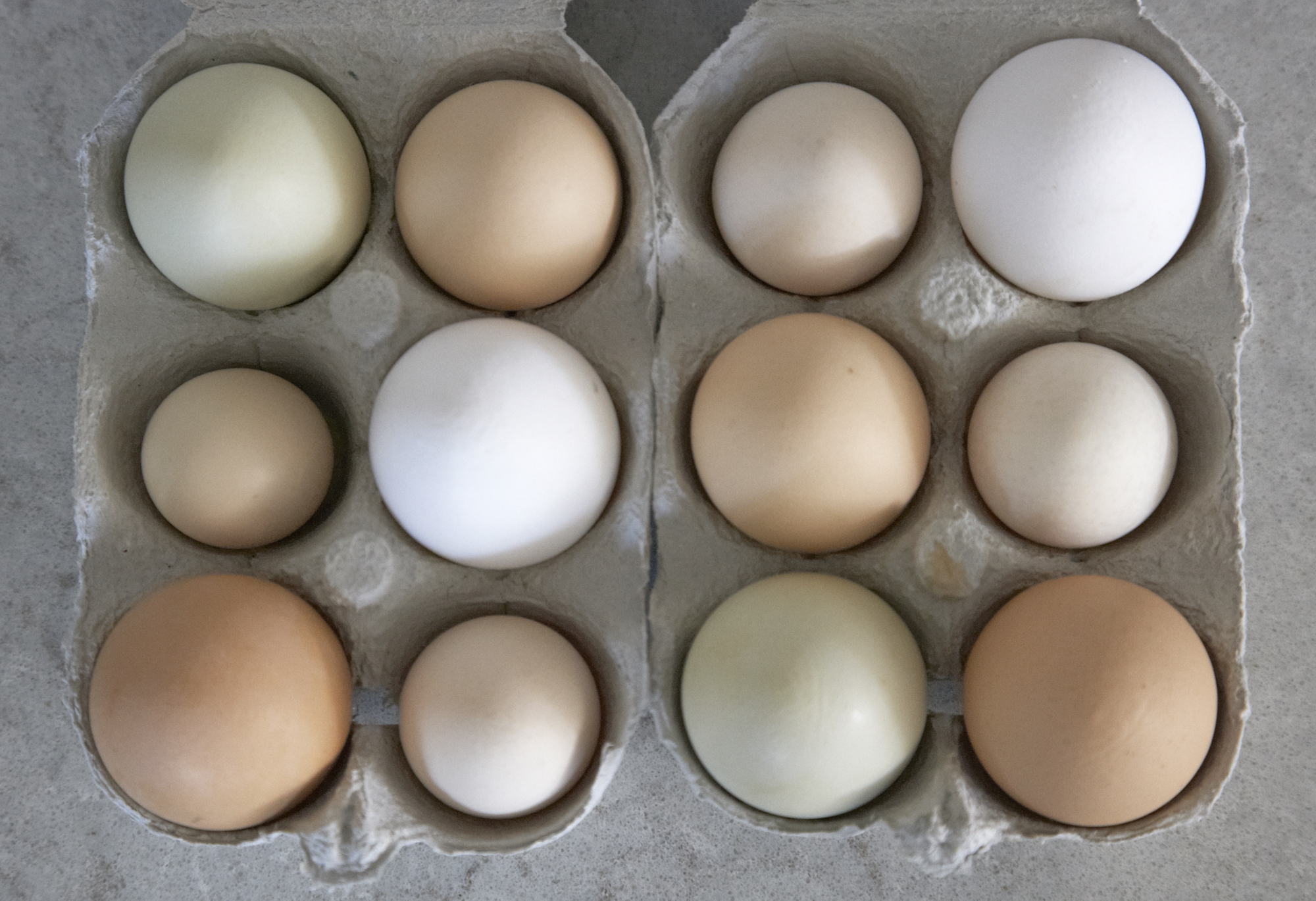 AGA Eggs - Humphrey Munson Blog 1