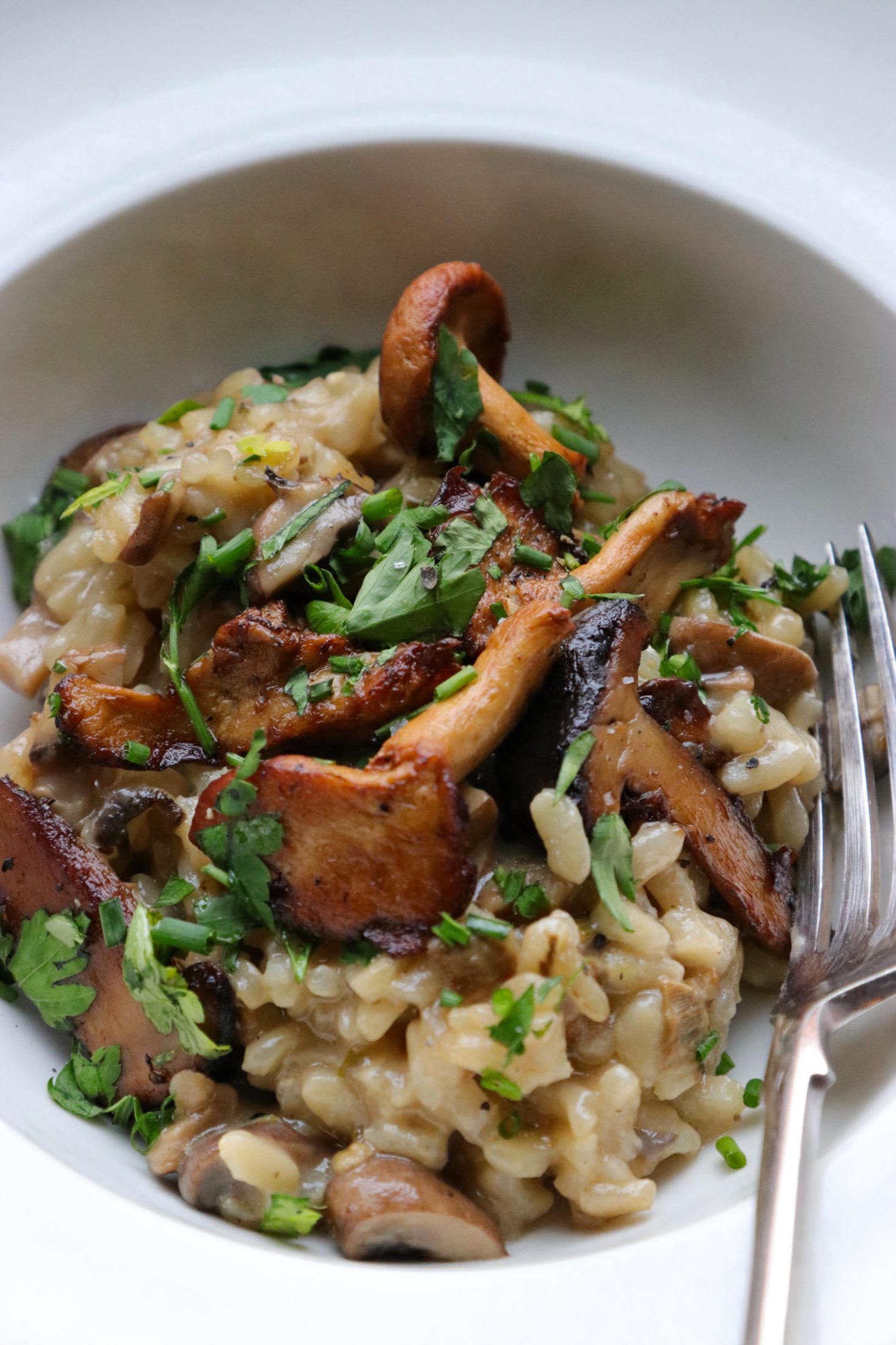 Recipe Notes | Baked Mushroom Risotto - Humphrey Munson Blog
