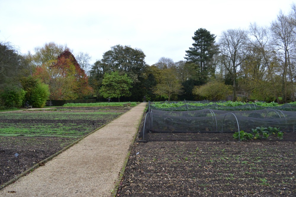 Cooking with Gaggenau - Raymond Blanc Cooker School - Humphrey Munson Blog