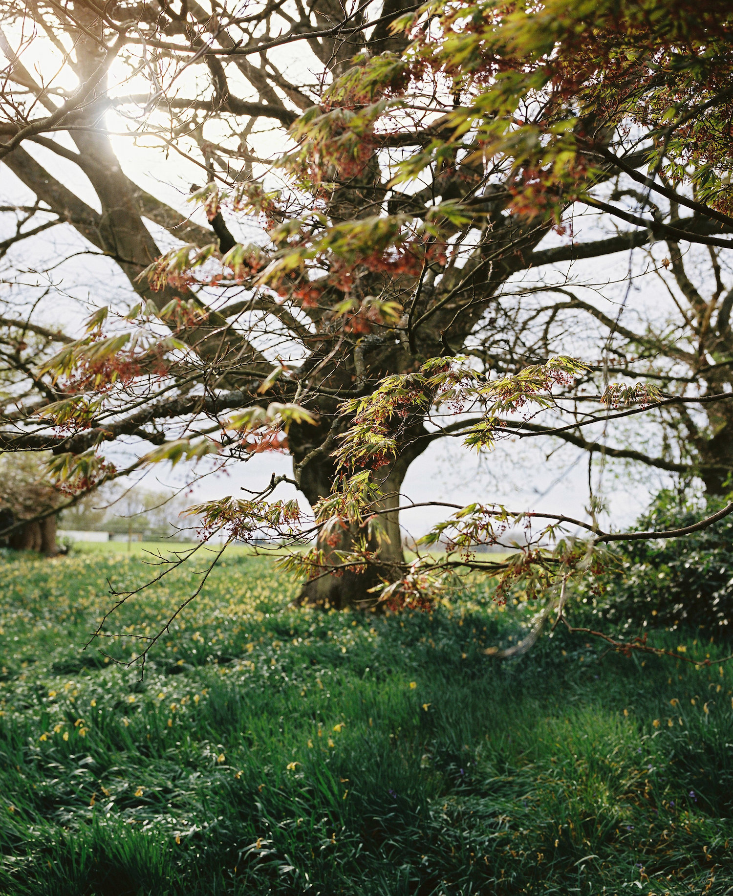 Heckfield Place - Humphrey Munson Blog