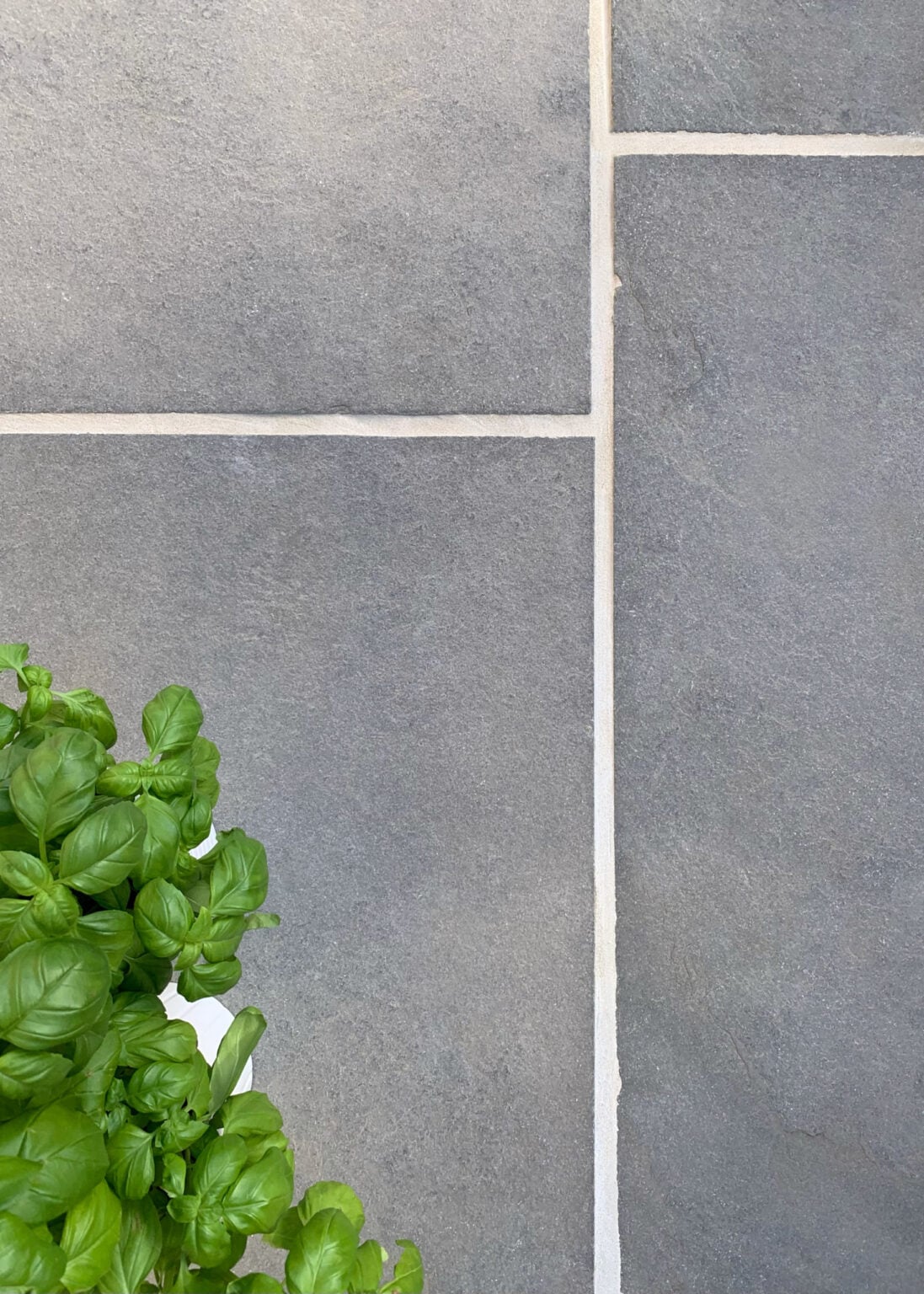 Hambleton Limestone Weathered