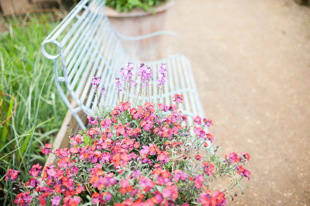 Petersham Nuseries - Springtime - Humphrey Munson Blog 2