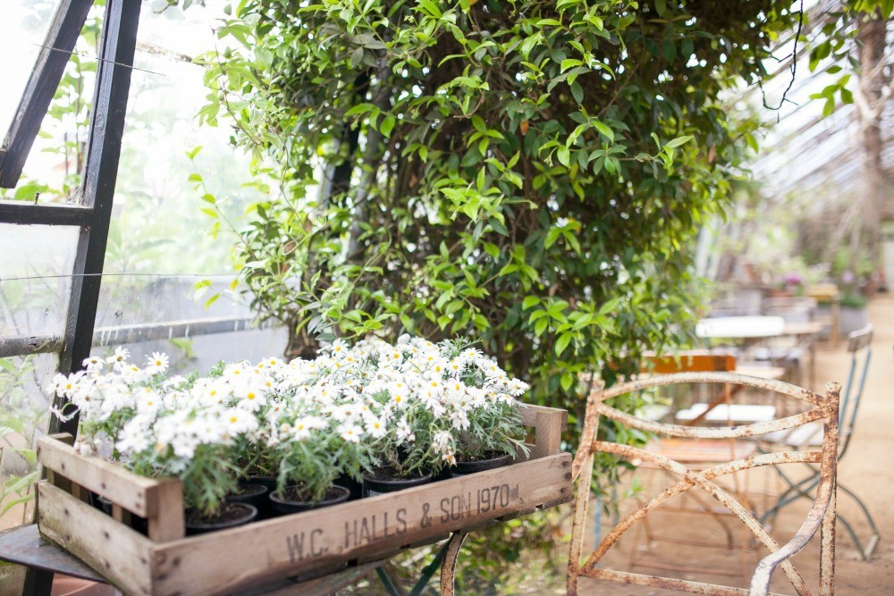 Petersham Nuseries - Springtime - Humphrey Munson Blog 8