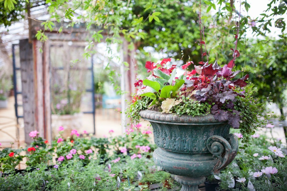 Petersham Nuseries - Springtime - Humphrey Munson Blog 9