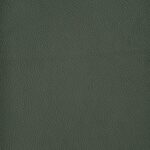 Leather: Forest Green