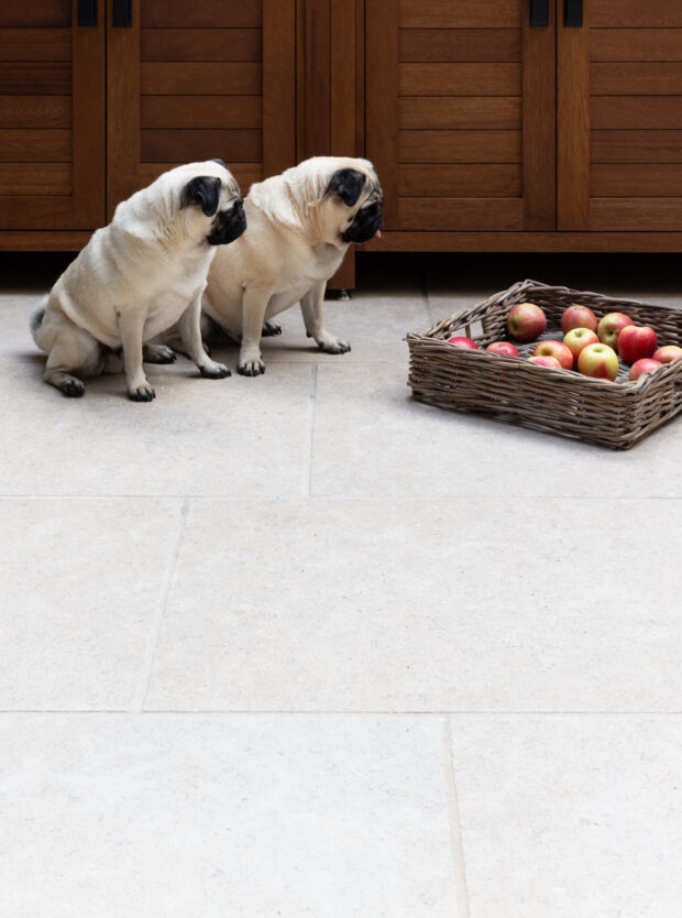 Heckfield Limestone Weathered