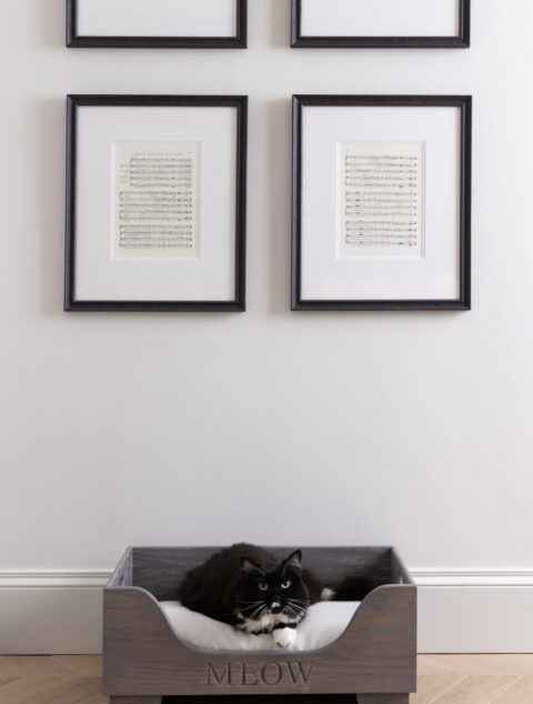 Pet Bed - Image 4