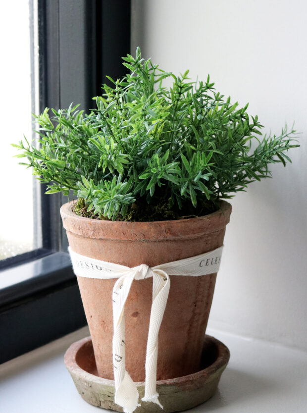 Celeste Rose Thyme Pot
