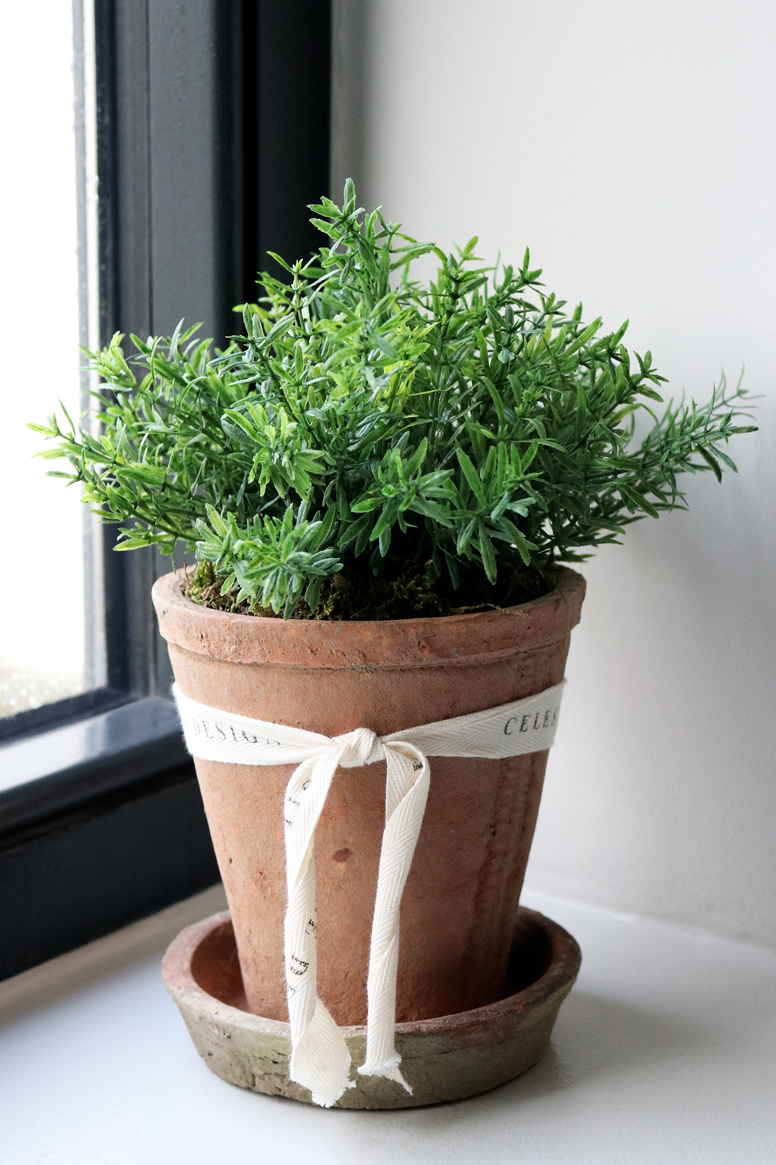 Celeste Rose Thyme Pot - Image 1