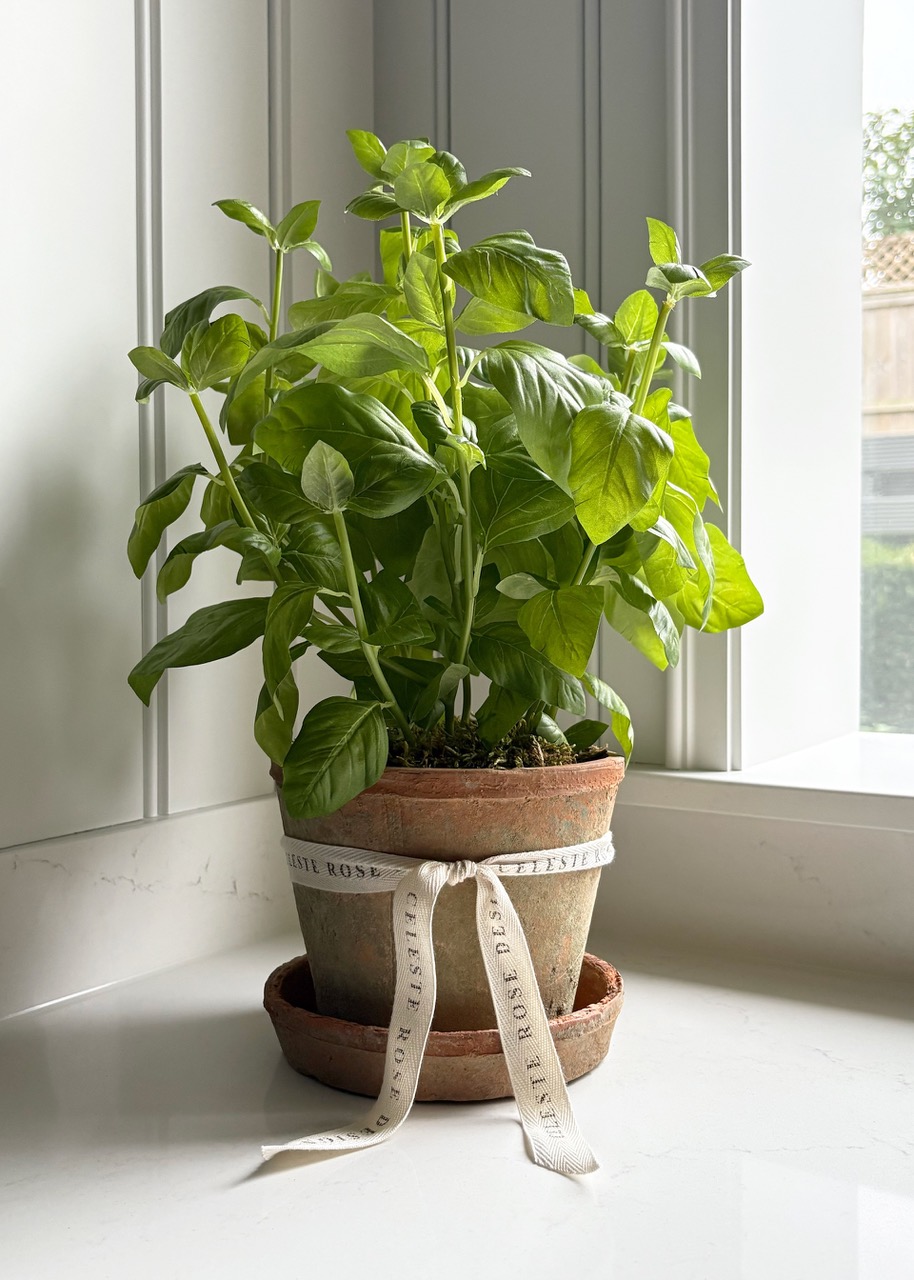 Celeste Rose Basil Pot - Image 2