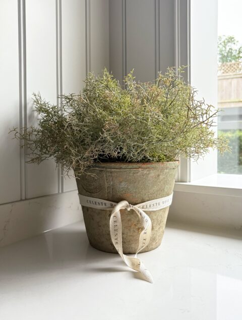 Celeste Rose Moss Pot - Image 2