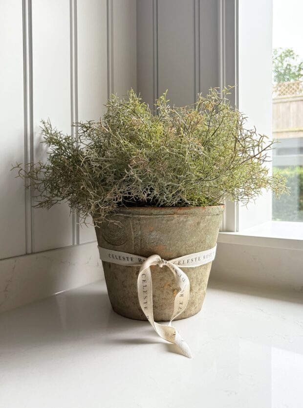Celeste Rose Moss Pot