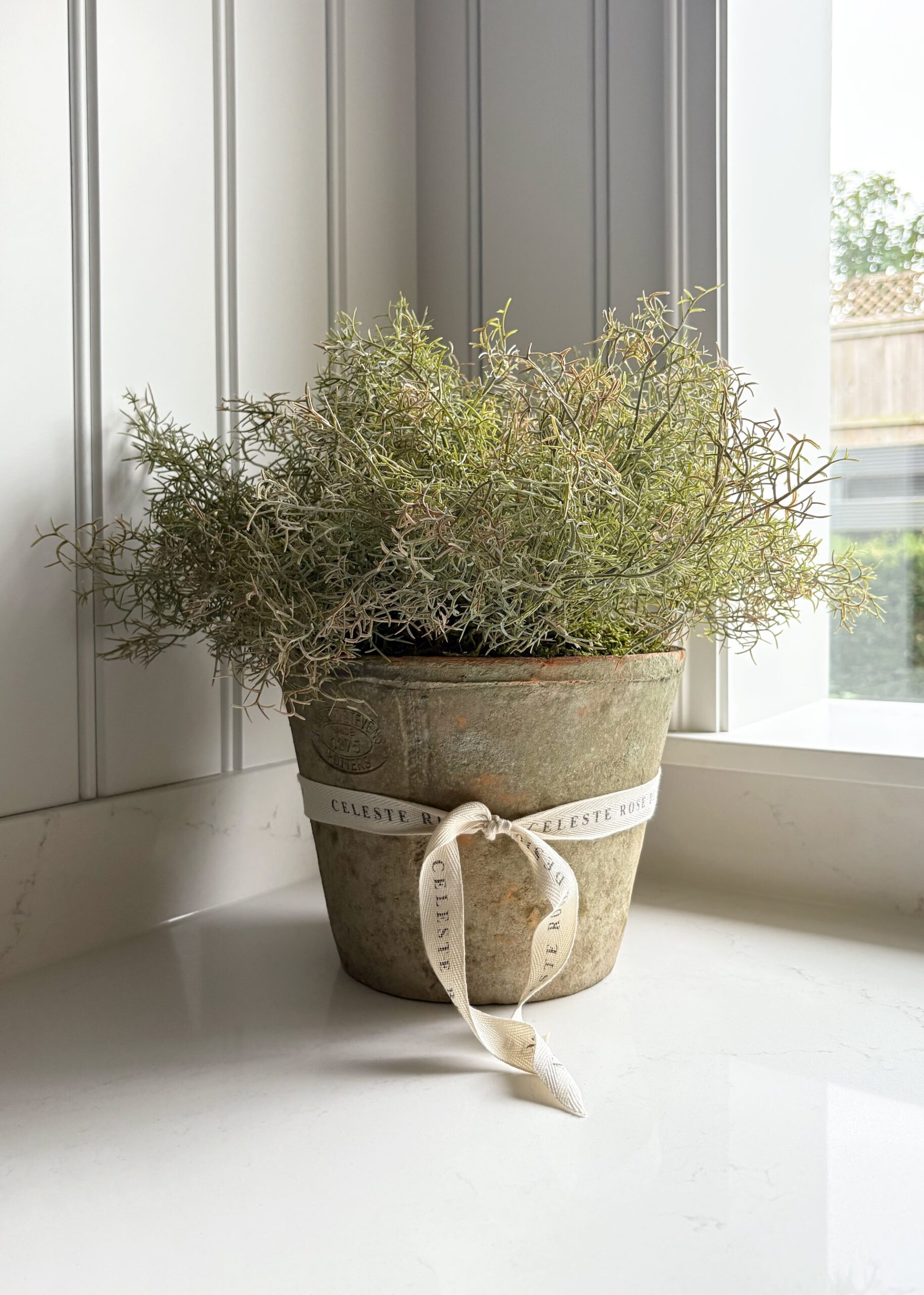 Celeste Rose Moss Pot - Image 2