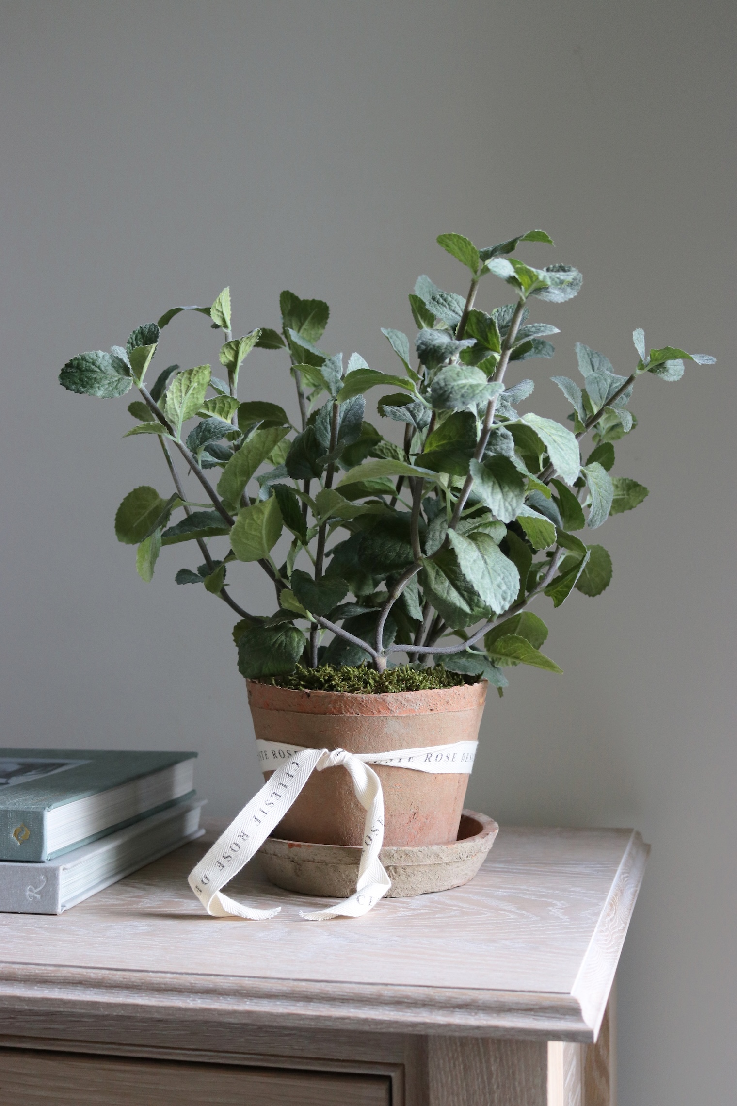 Celeste Rose Mint Pot - Image 1