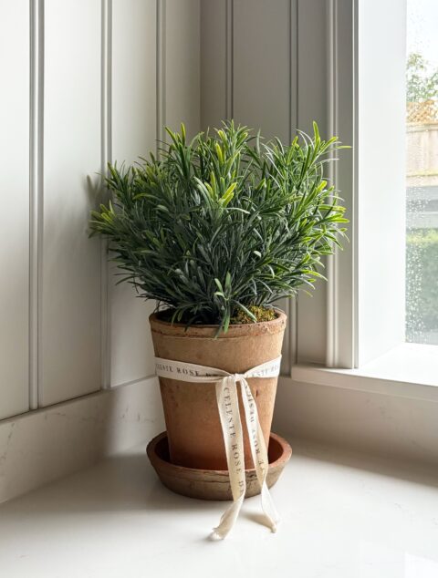 Celeste Rose Rosemary Pot