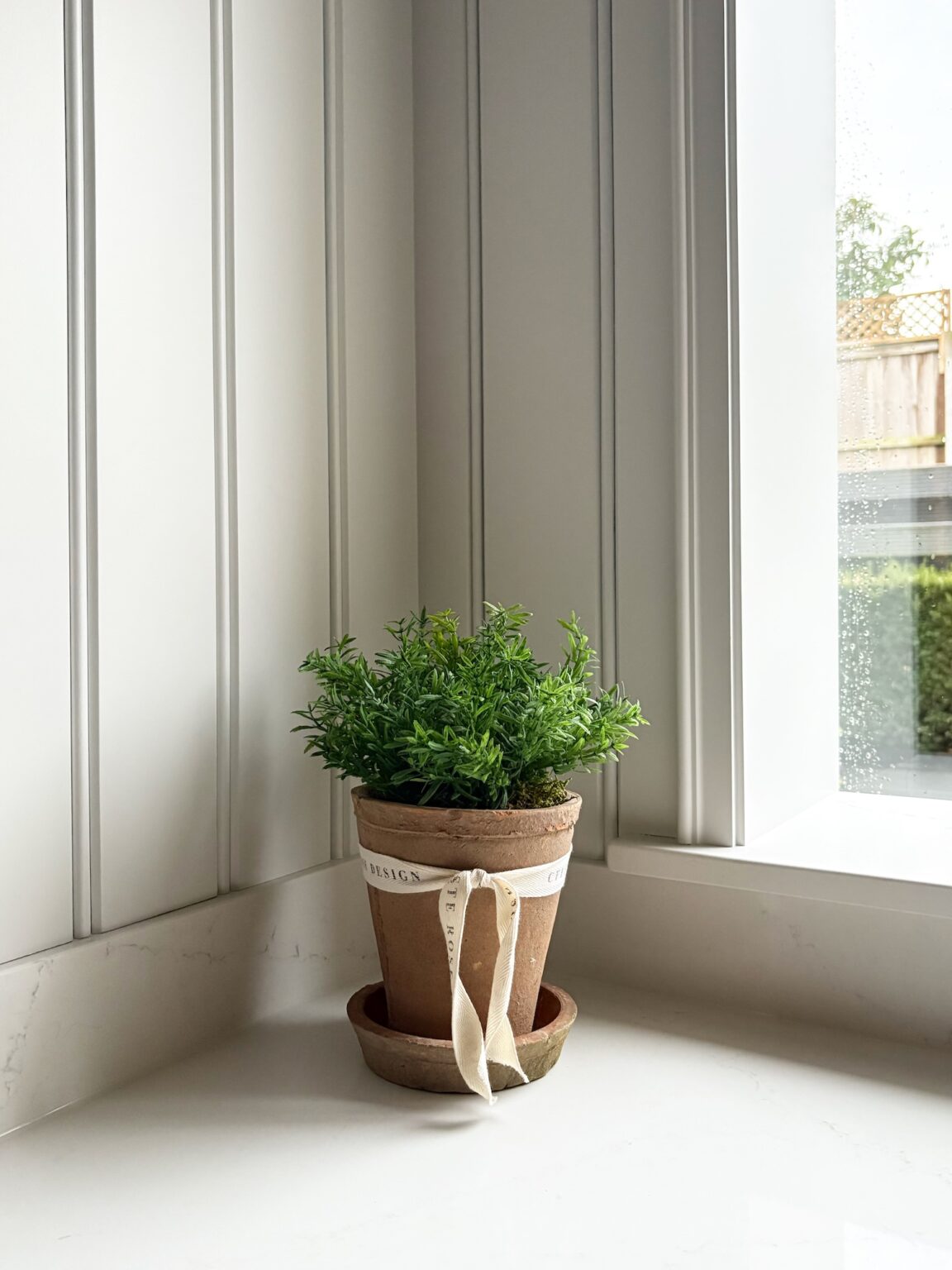 Celeste Rose Thyme Pot