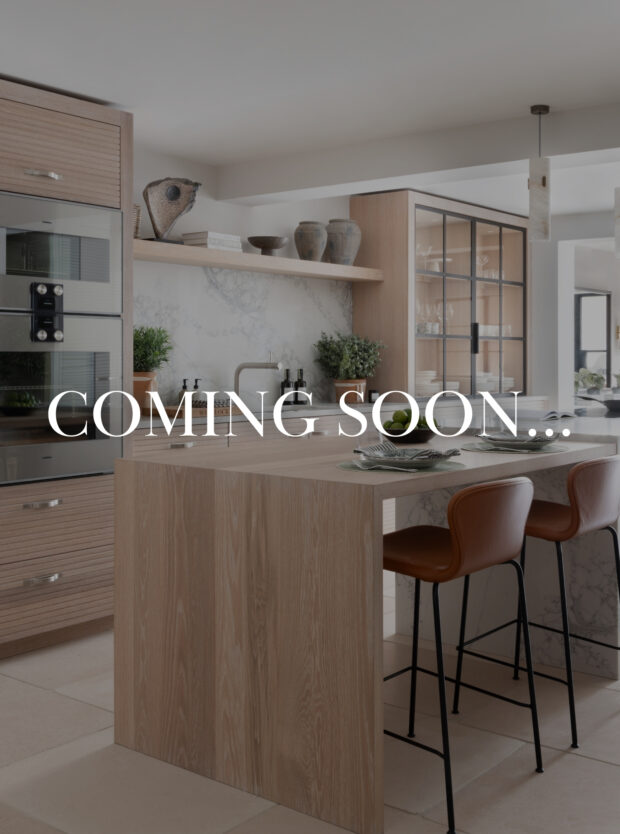 02/ CDQ Summer Street Party