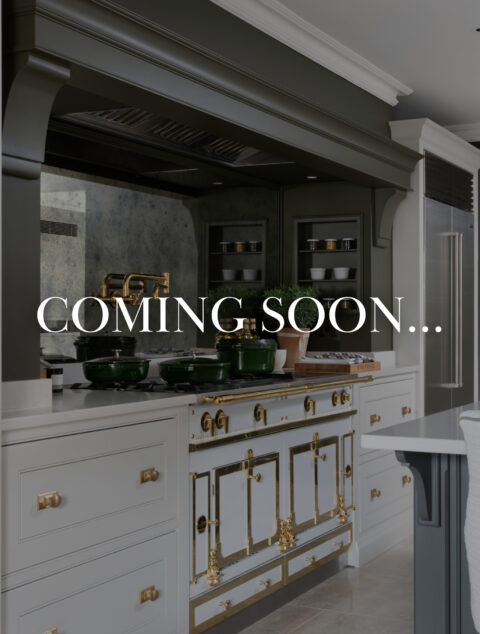 01/ CDQ Springtime Session