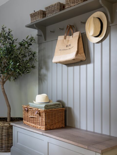 Large Olive Tree - Image 2