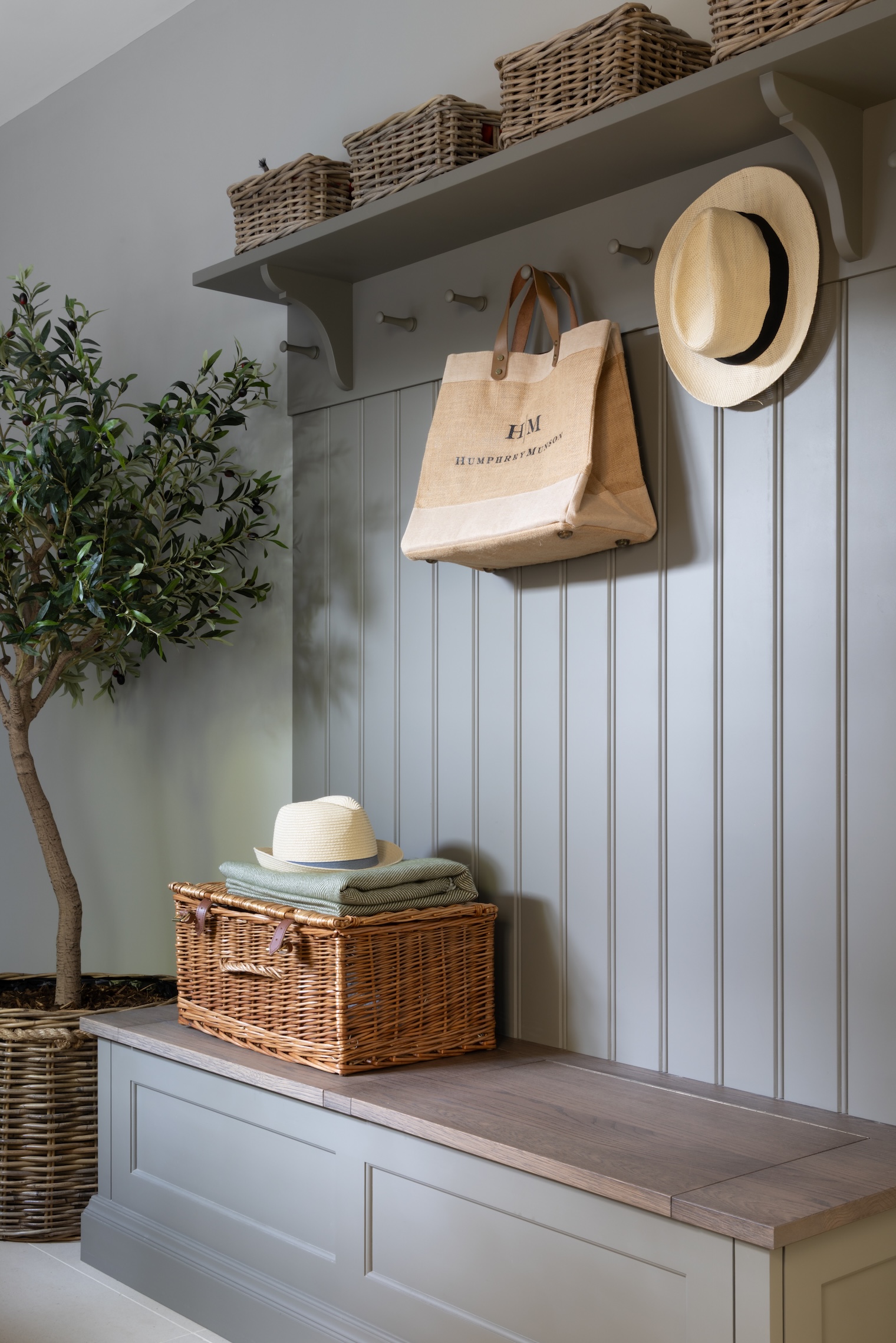 Large Olive Tree - Image 2