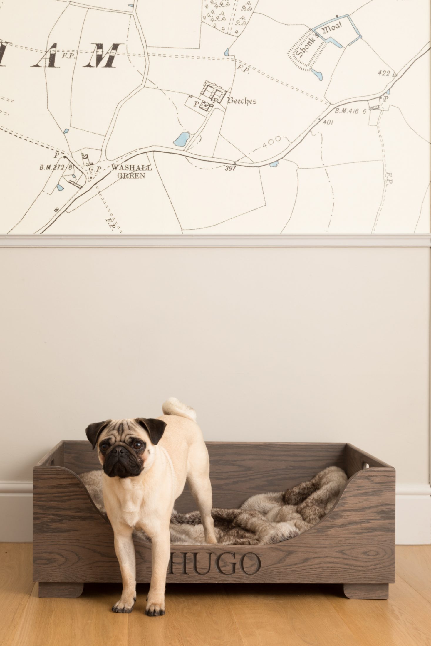 Bm dog beds cheap